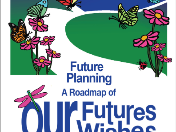 Future planning a roadmap of our futures our wishes book cover