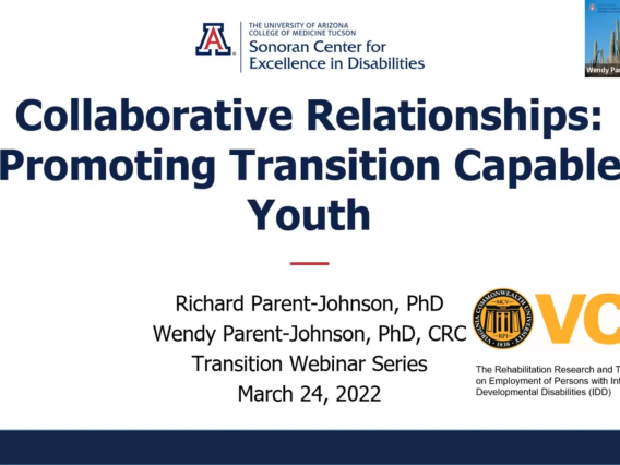 Collaborative Relationships: Promoting Transition Capable Youth webinar screenshot. 