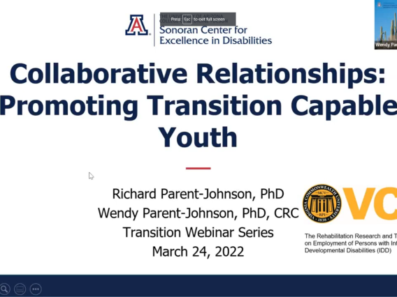 Collaborative Relationships: Promoting Transition Capable Youth Webinar Screenshot
