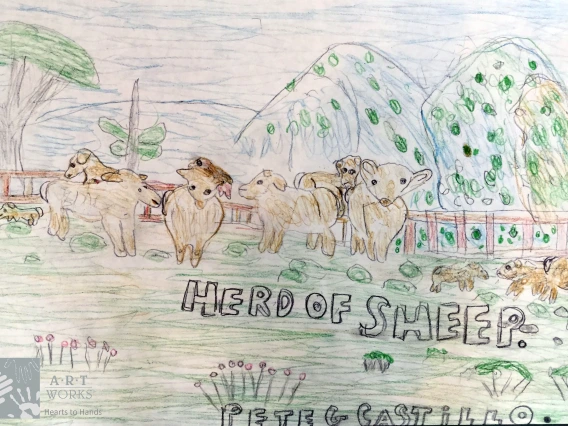 drawing of a herd of sheep