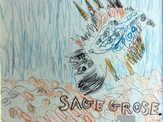 drawing of a ceature