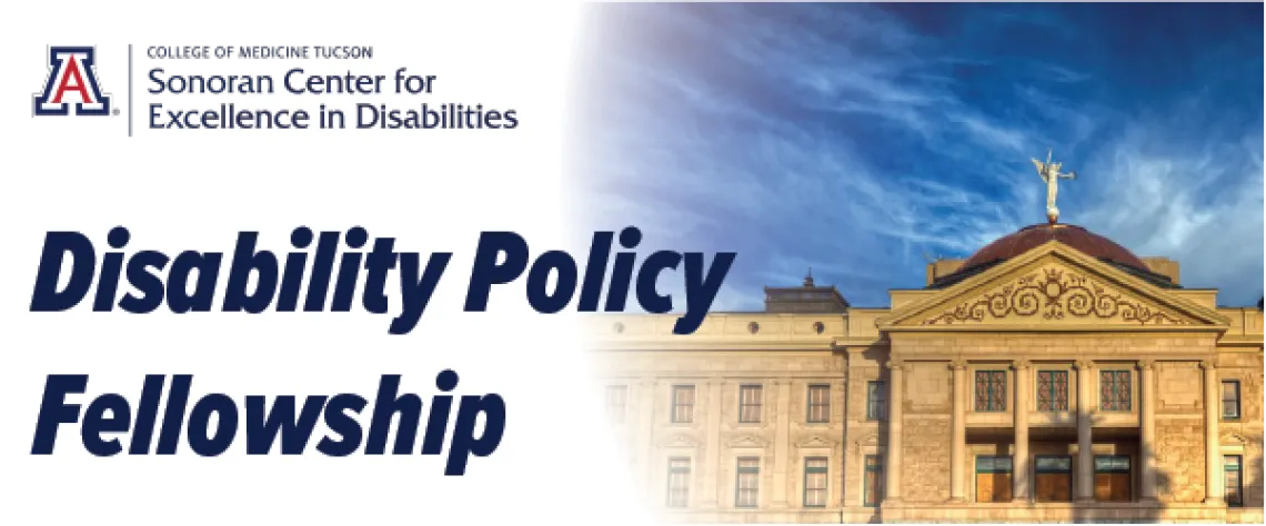 Disability Policy Fellowship