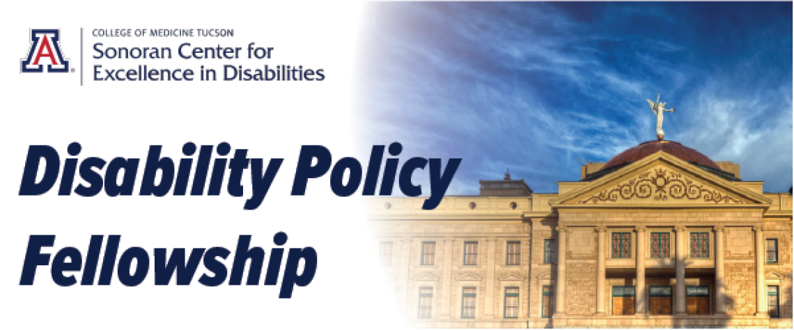 Disability Policy Fellowship