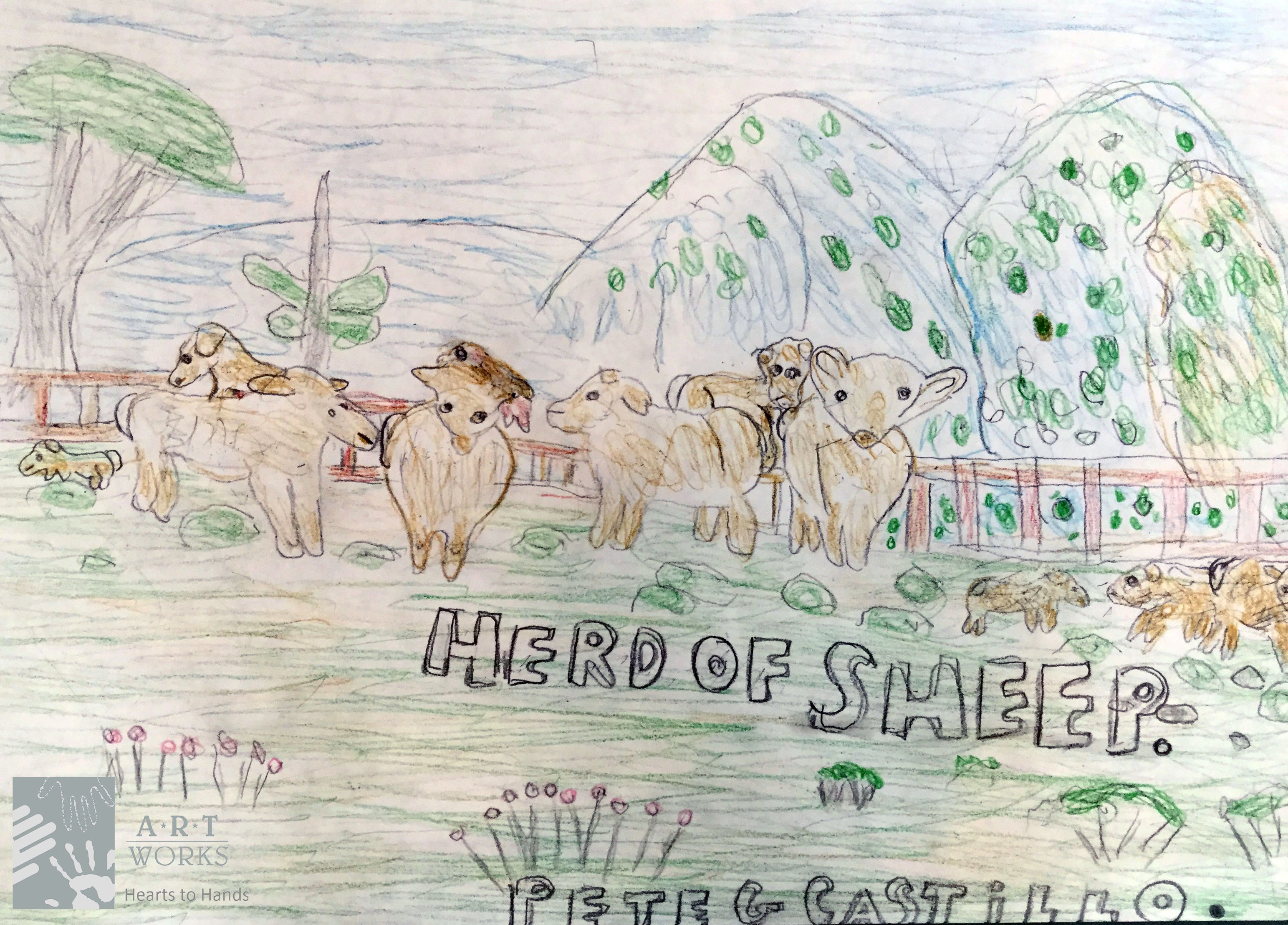 drawing of a herd of sheep