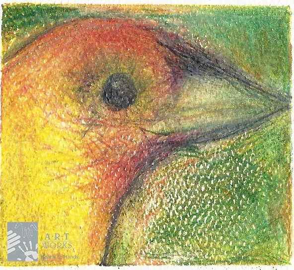 drawing of yellow and red bird