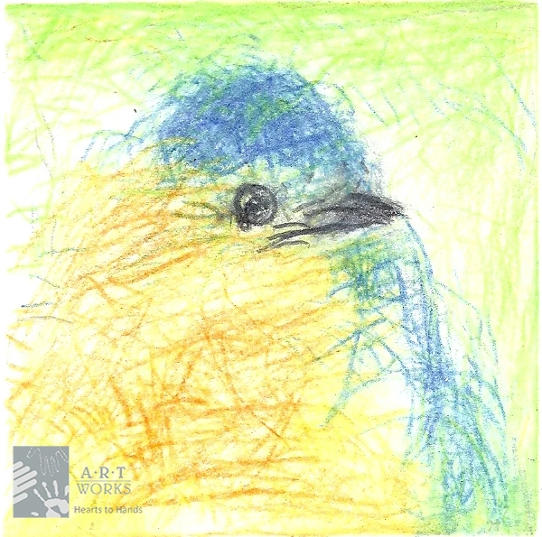 drawing of yellow and blue bird