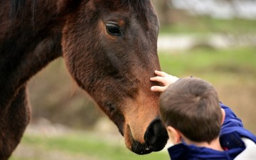 Angels in Autism Boy with Horse